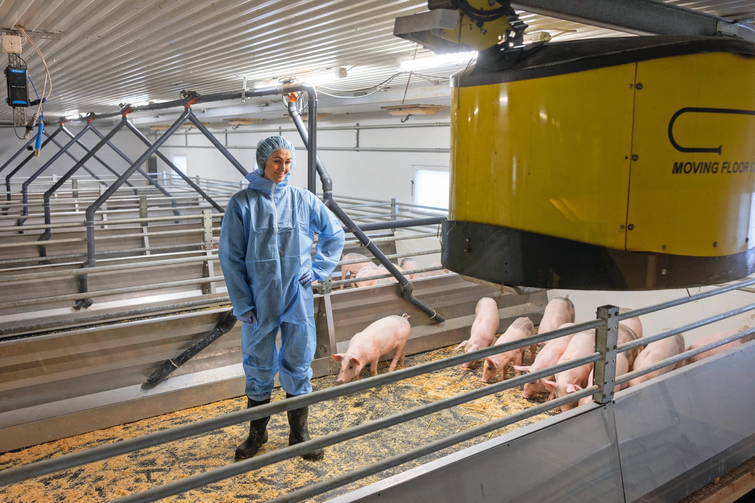 dagontmesting Zweeds systeem