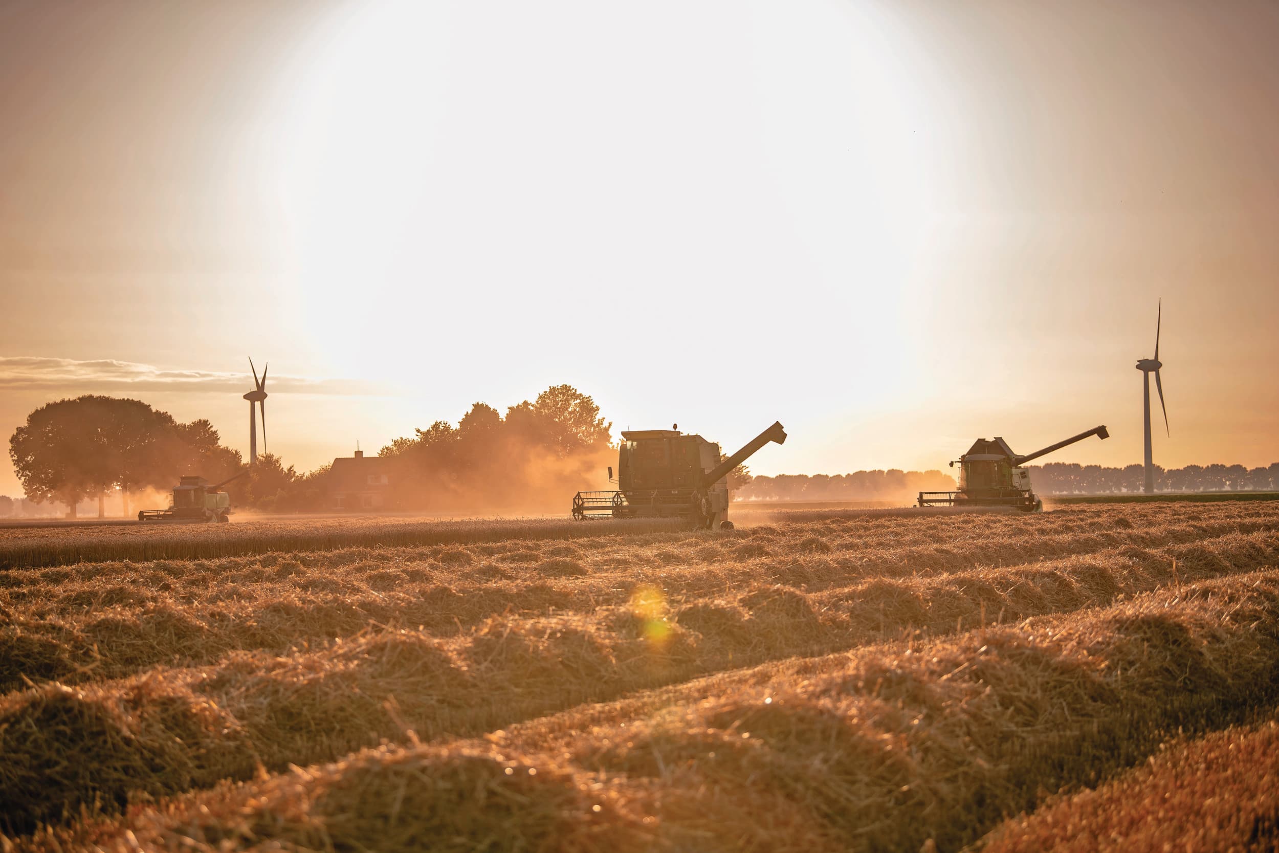 Op 18 juli zette Johan Schüssler in Oostelijk Flevoland drie maaidorsers in om de tarwe voor de aangekondigde regen binnen te hebben. Snel daarna werd het inderdaad twee weken kwakkelen. Foto: Mark Pasveer