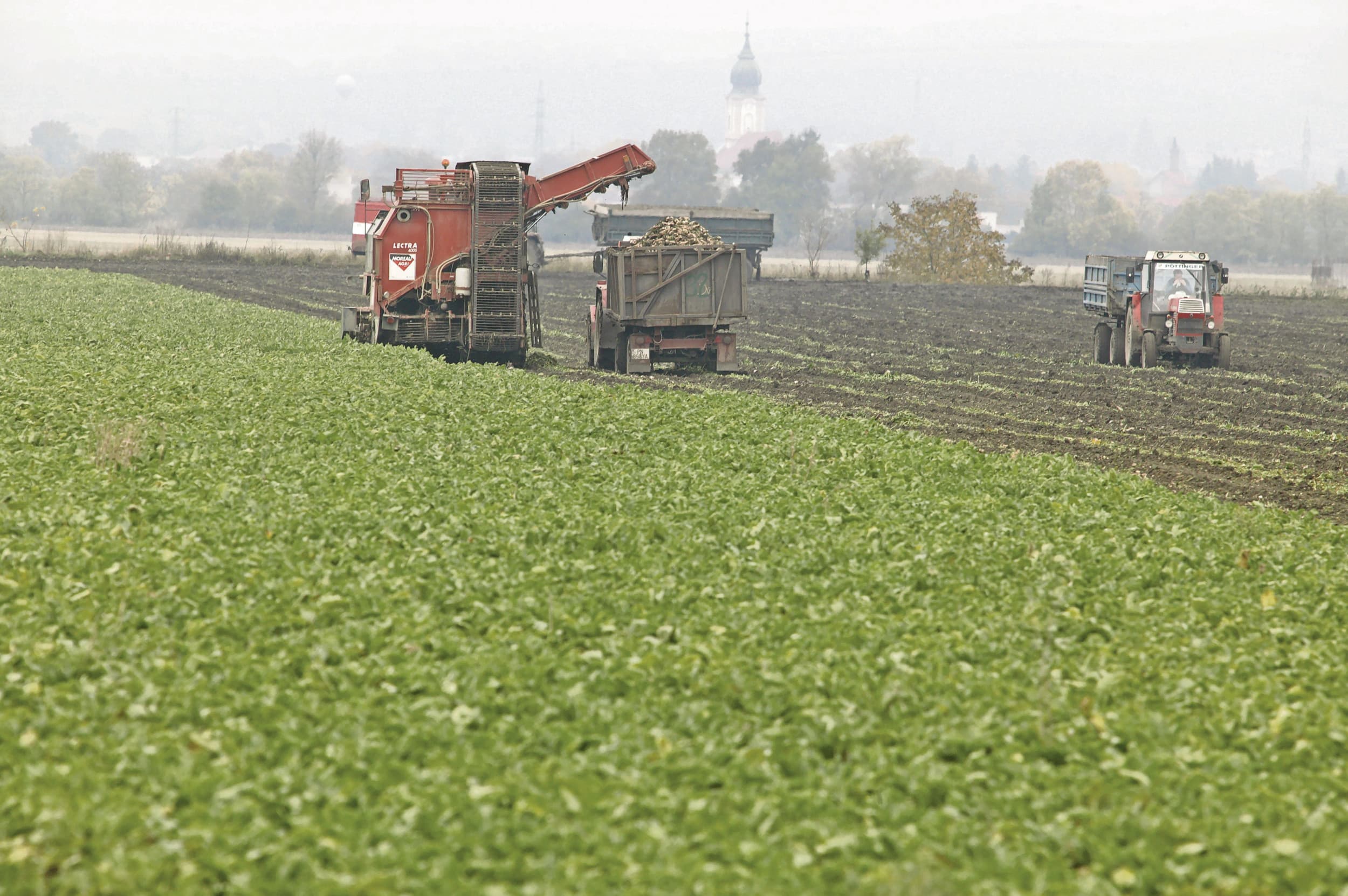 Bietenoogst in Slowakije, archiefbeeld. Foto: Henk Riswick