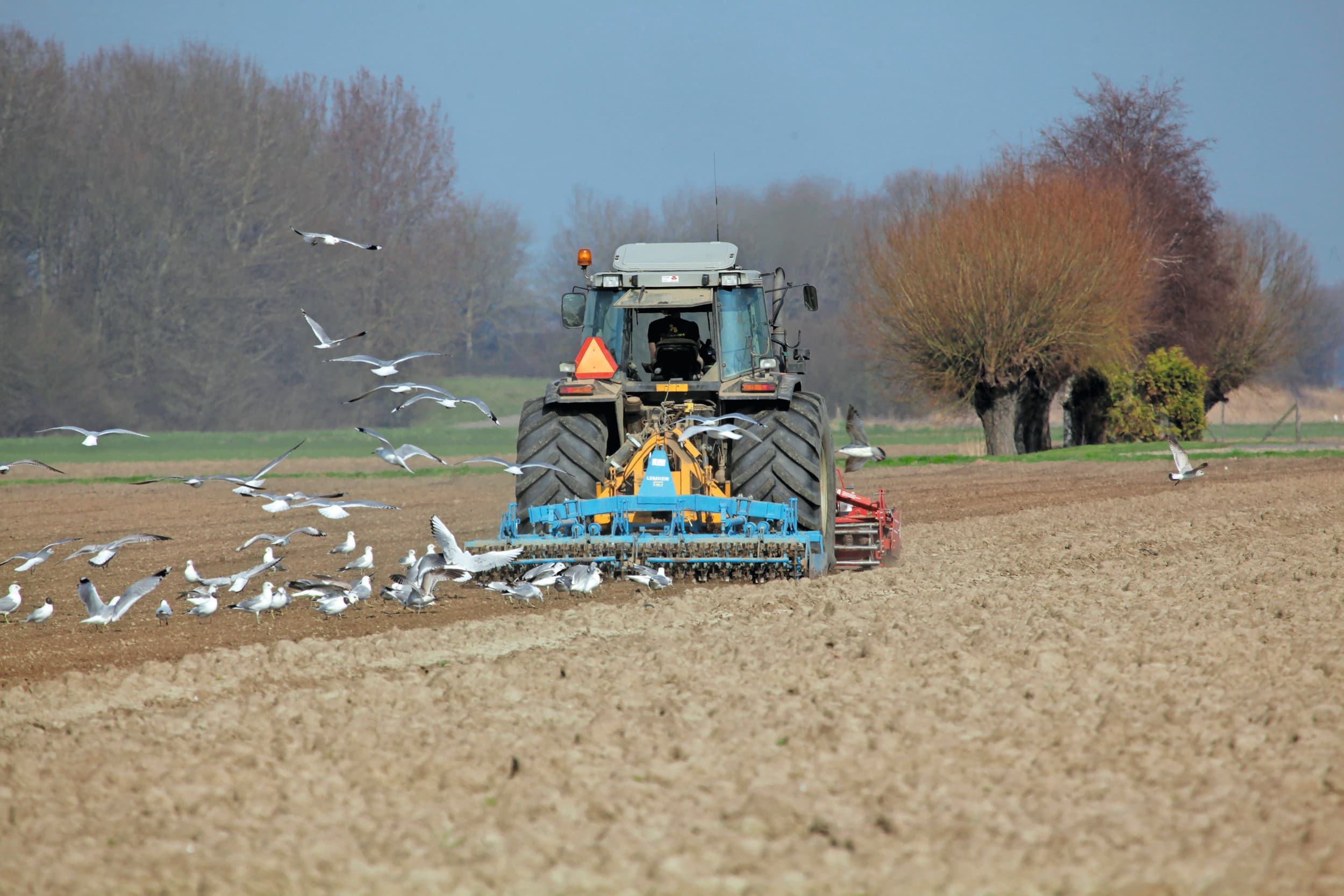 leiders bestaan bij de gratie van volgers. In een tijd van complexe opgaven hebben we geen behoefte aan meer leiders, maar aan vakmensen met visie en veerkracht. Foto: Henk Riswick