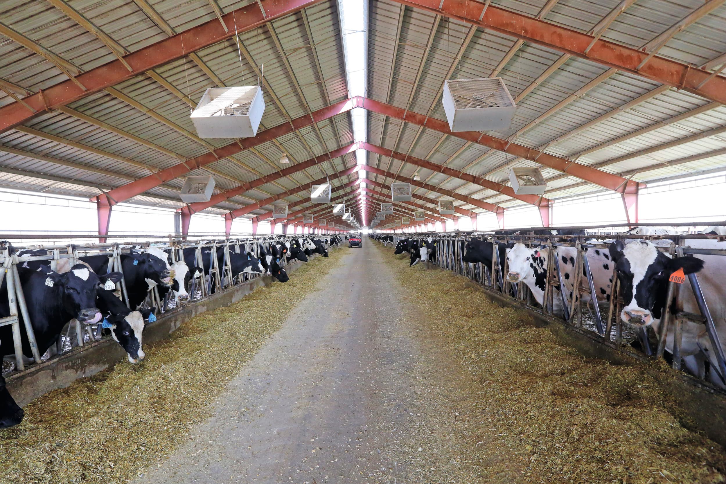 Amerikaanse zuivelcoöperaties melkveehouders schikking