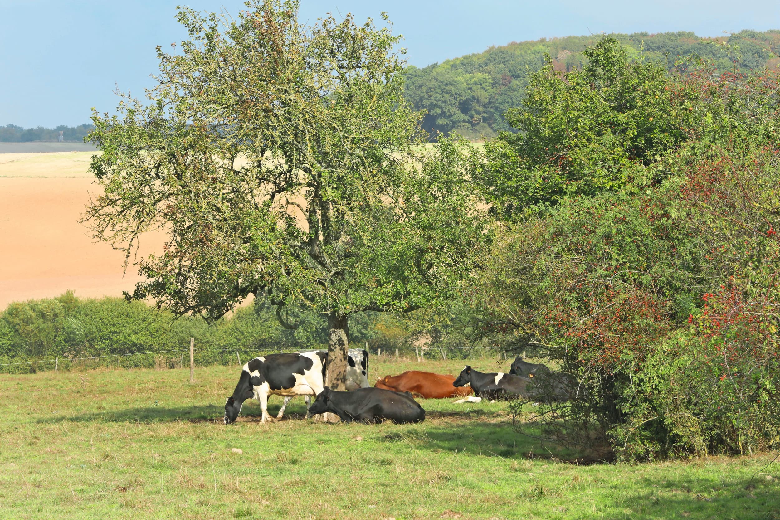lactalis investeringen Frankrijk