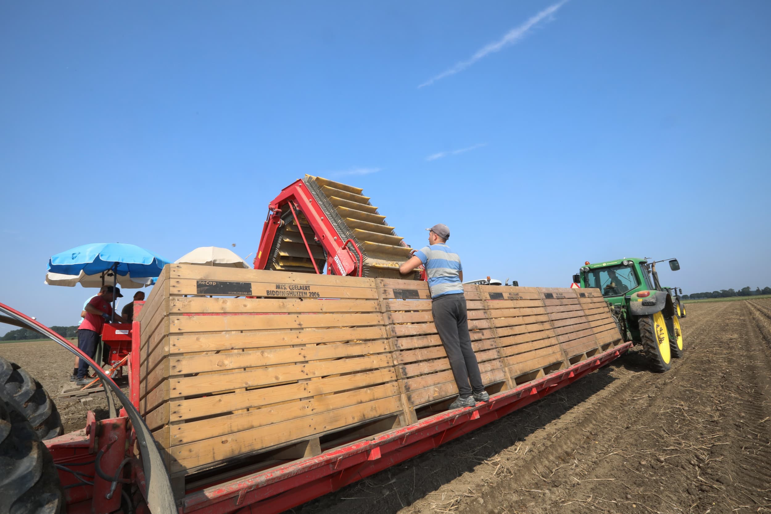 Agrico keert €95,20 per ton uit voor biologisch pootgoed van oogst 2024. Door tegenvallende opbrengsten liggen de prijzen fors hoger dan vorig jaar. Foto ter illustratie. Foto: Henk Riswick