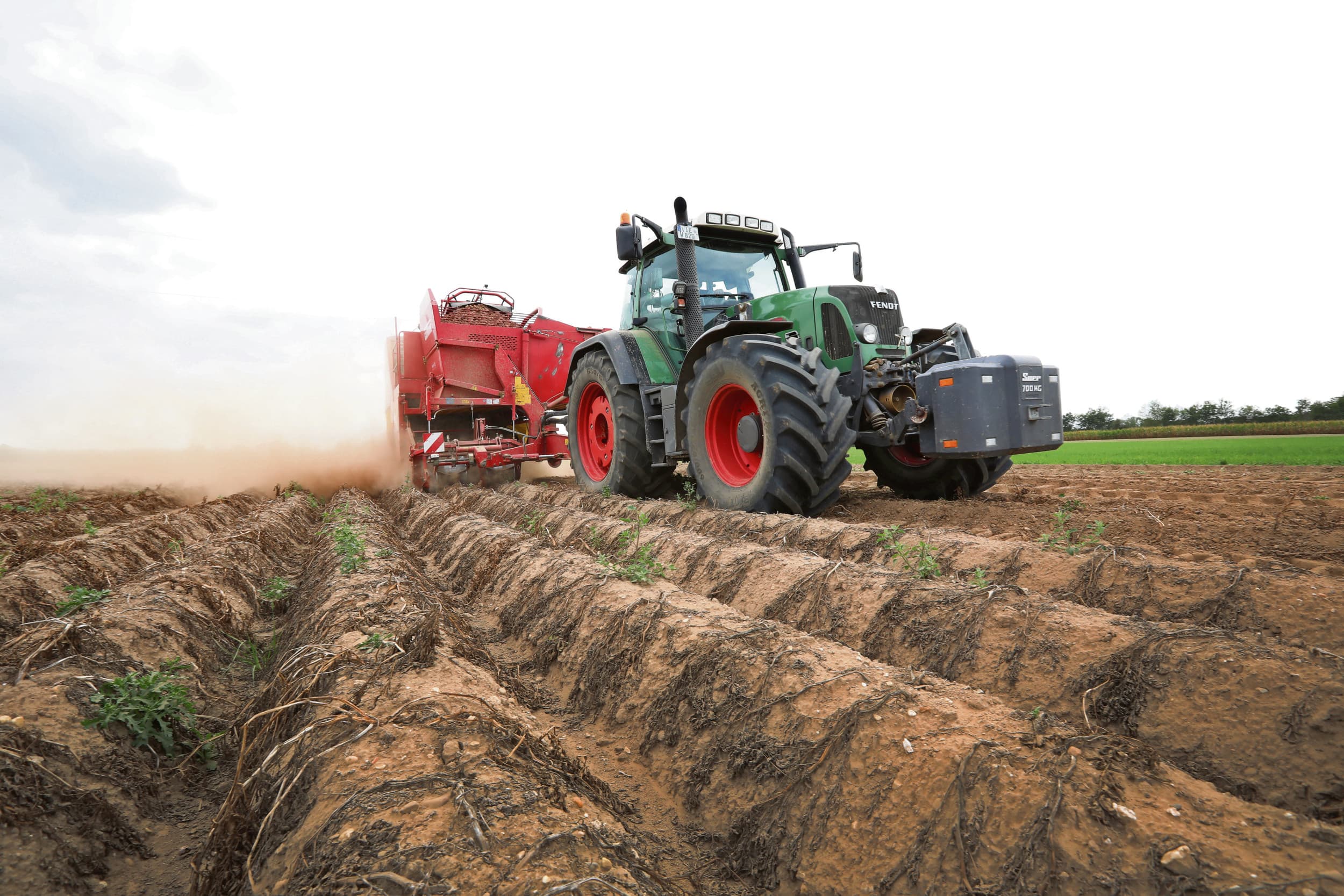 De EU heeft de prognose voor Duitse aardappeloogst per hectare naar beneden bijgesteld. Die komt daarmee onder het vijfjarig gemiddelde. Foto: Henk Riswick