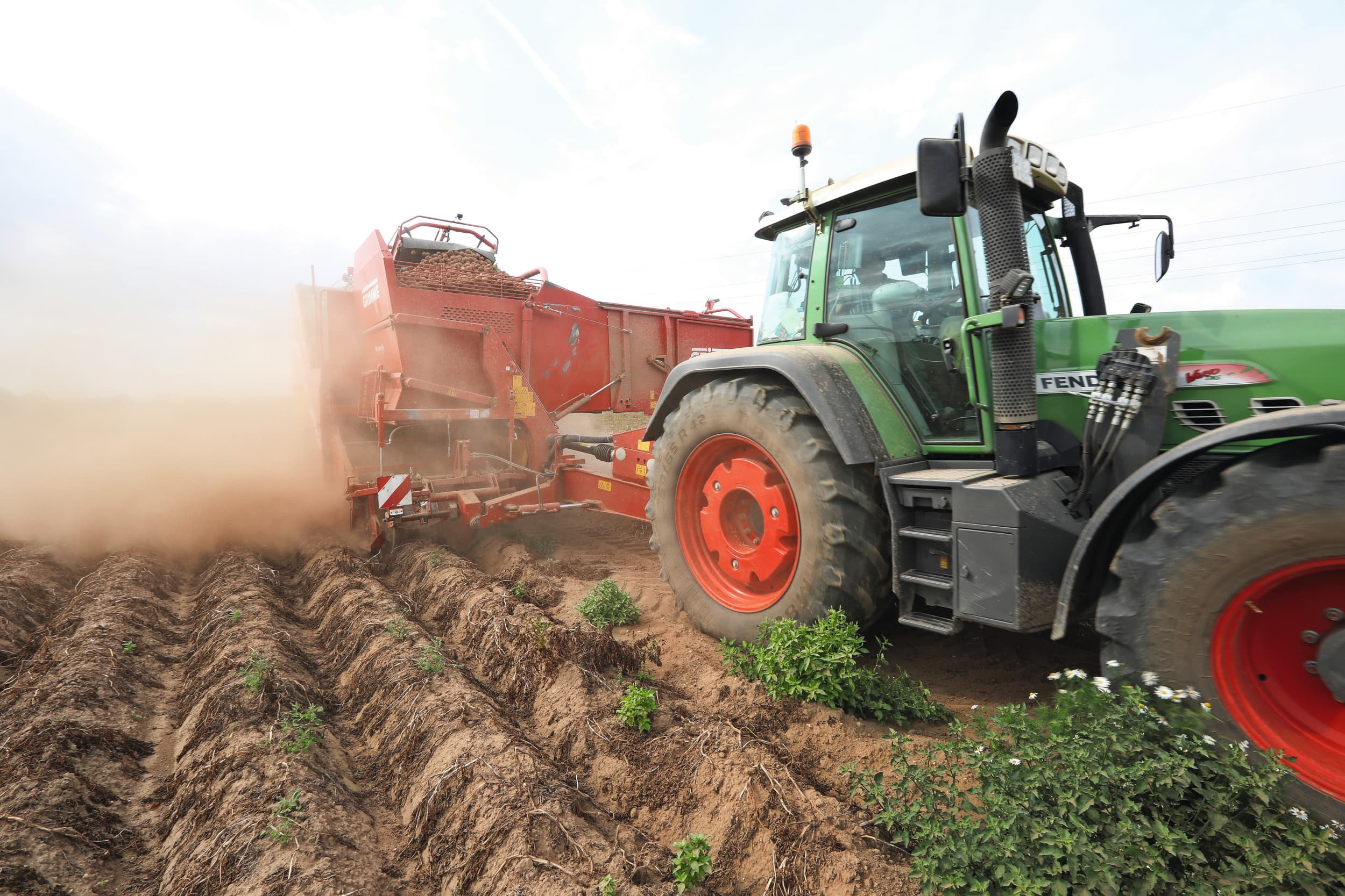 Duitsland rekent op een recordoogst gezien de forse uitbreiding van het aardappelareaal en een gemiddelde opbrengst van circa 44 ton per hectare. Dat is veel meer dan de EU verwacht. Foto: Henk Riswick