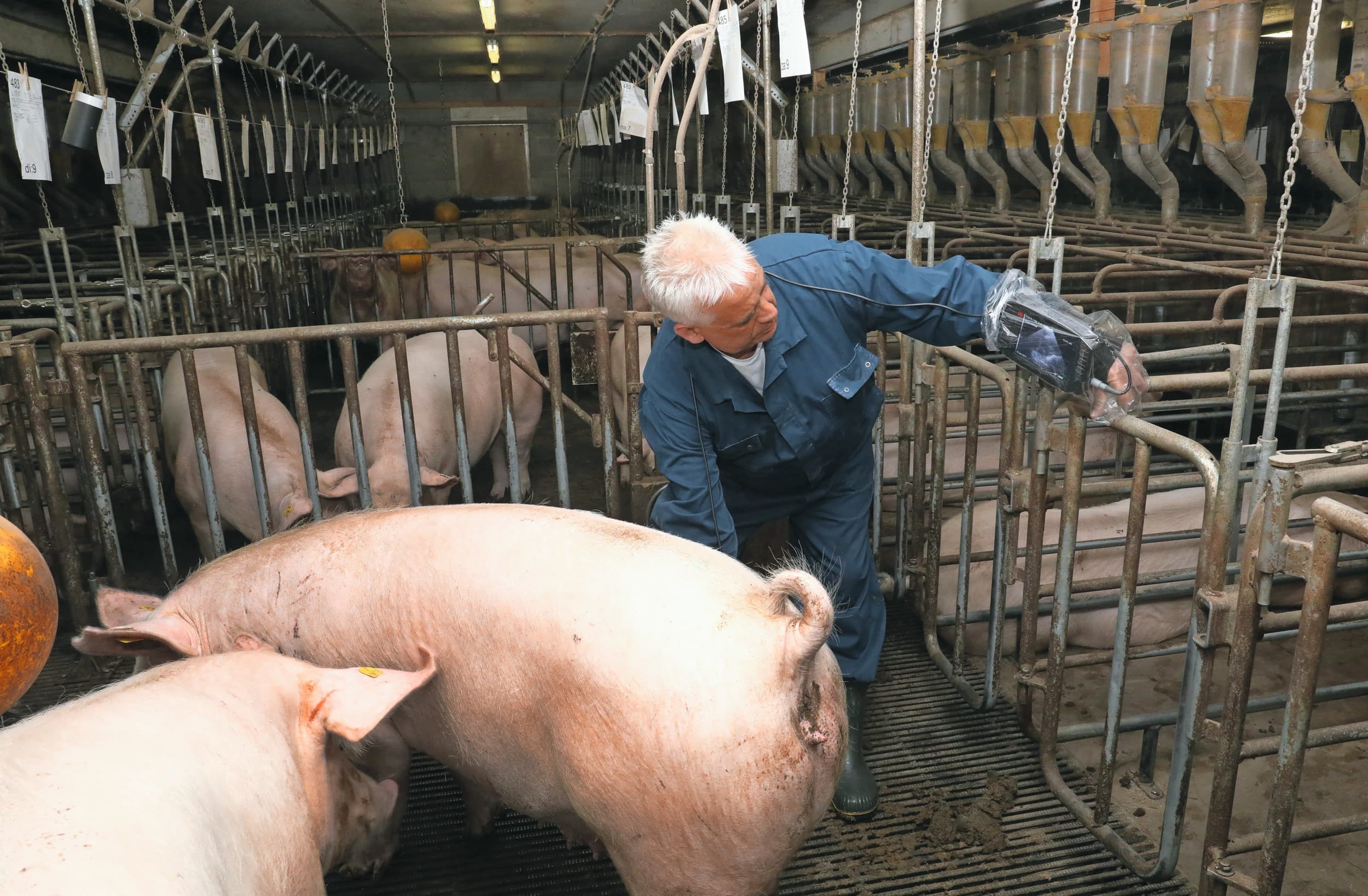 zzp-verzekering Raad van State