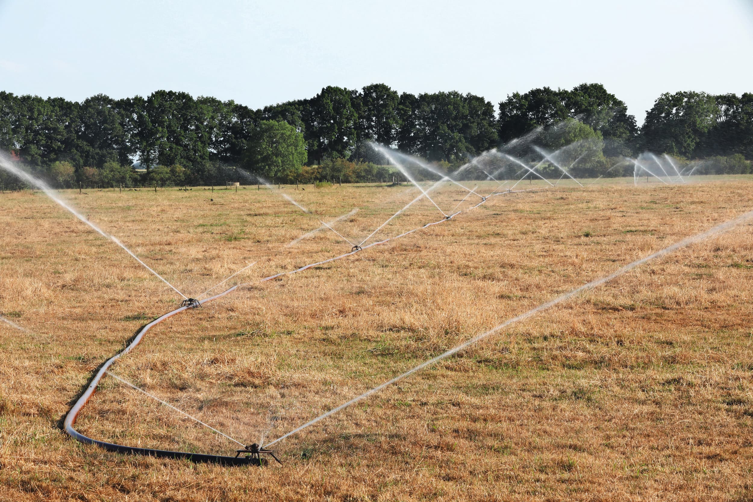 Klimaatverandering vormt volgens de onderzoekers een groot risico voor de economische welvaart in Europa. Foto: Henk Riswick