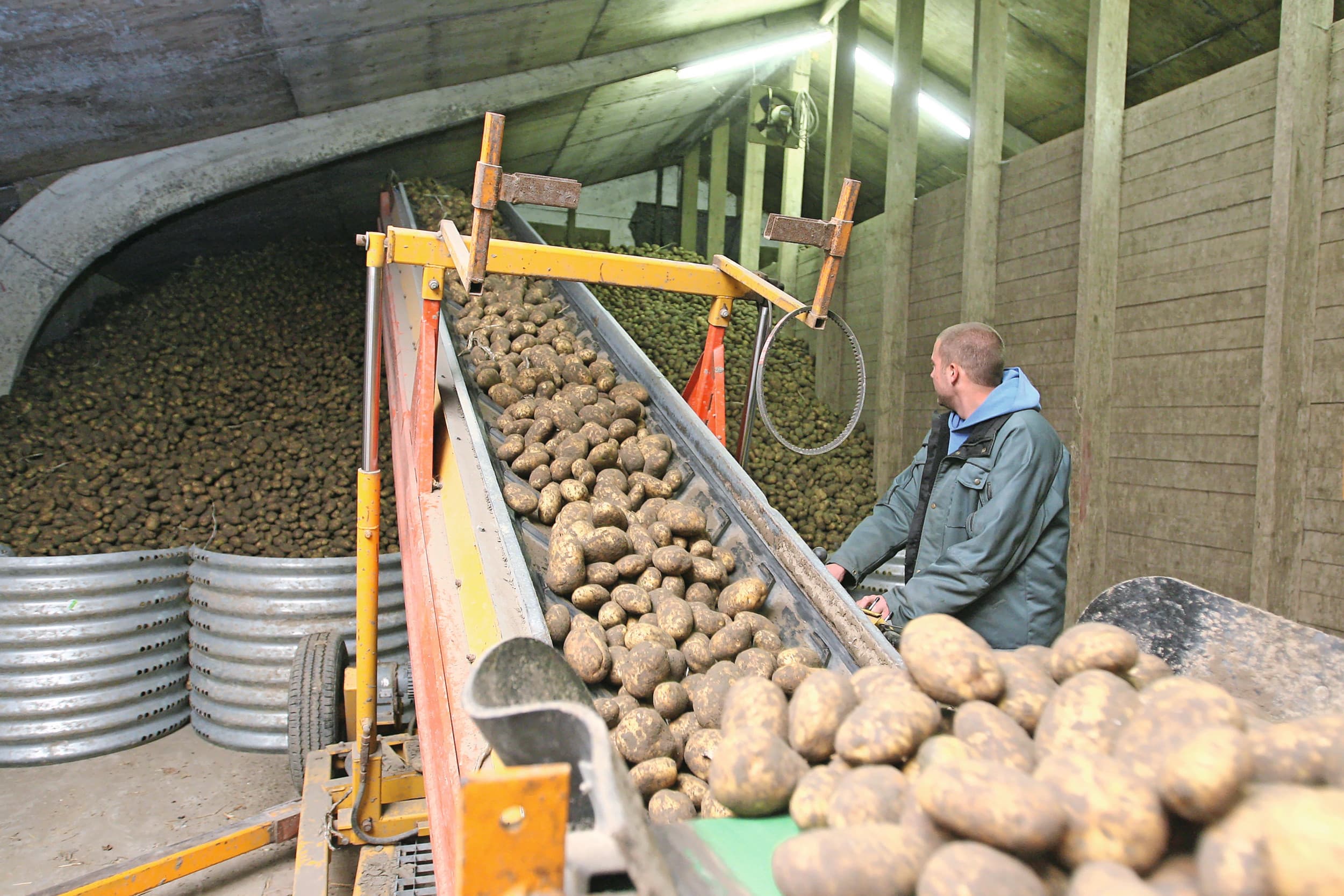 bv schijnzelfstandigheid
