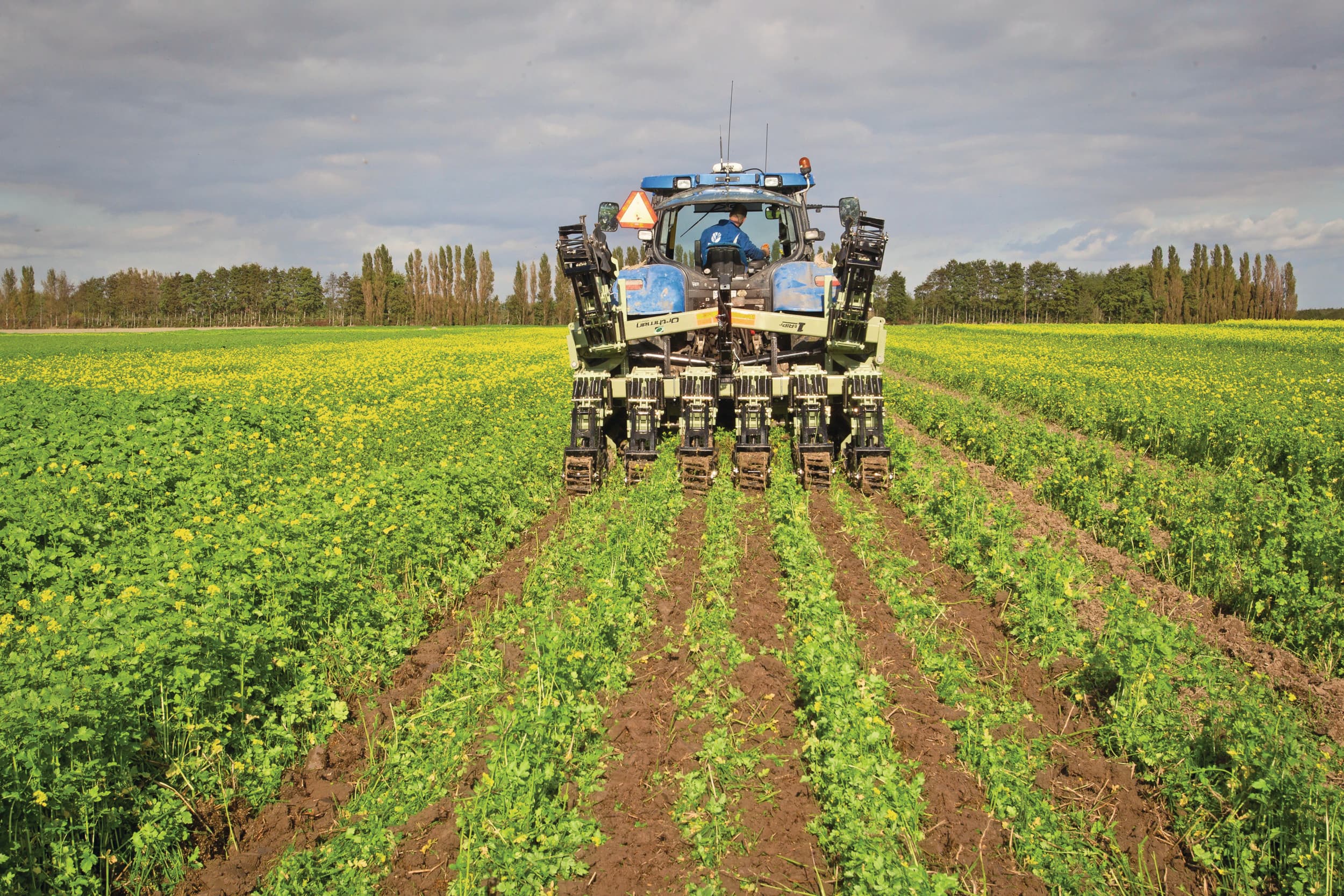 De grond zoveel en zo lang mogelijk groen houden vraagt aangepaste grondbewerking. Strip-till (strokenbewerking) kan dat combineren met NKG. In Nederland wordt dat beperkt toegepast. Foto: Peter Roek