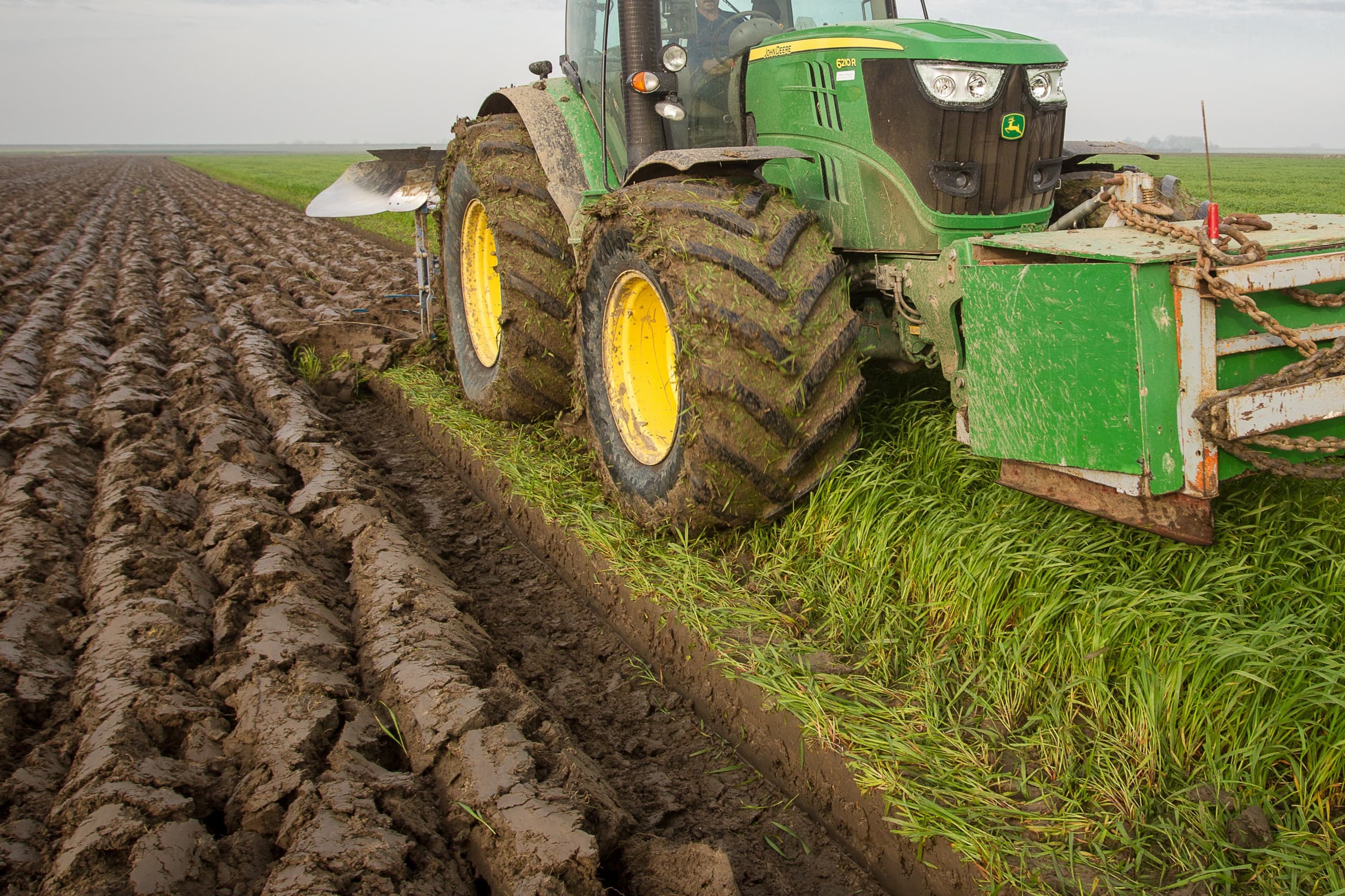 Gemeenten en waterschappen waarschuwen voor negatieve gevolgen van omschakeling van grasland naar bouwland. Foto: Ruud Ploeg