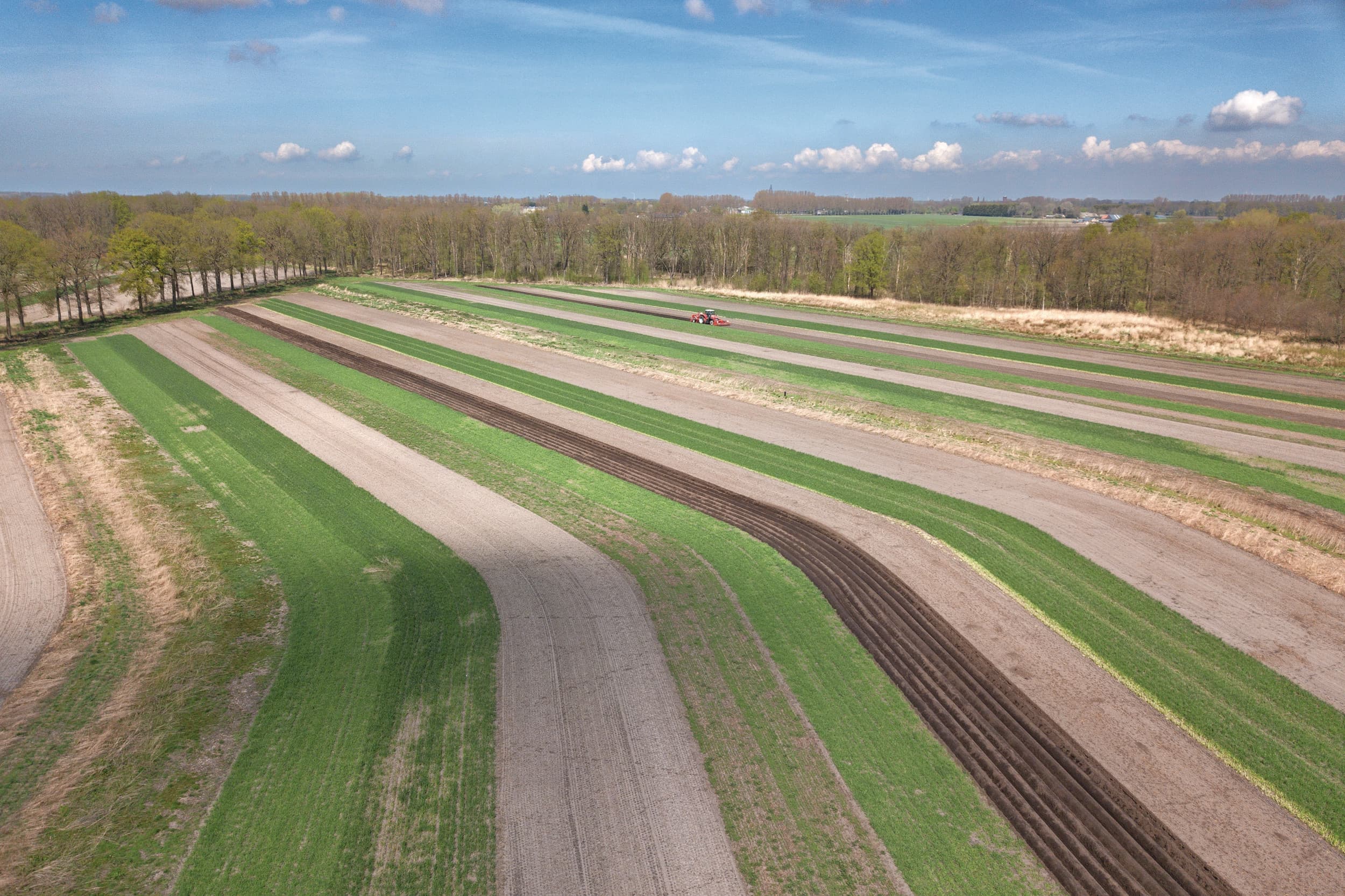 In de huidige financieringsperiode is ongeveer €230 miljoen beschikbaar voor de bevordering van de Duitse biologische landbouw. Foto: Peter Roek