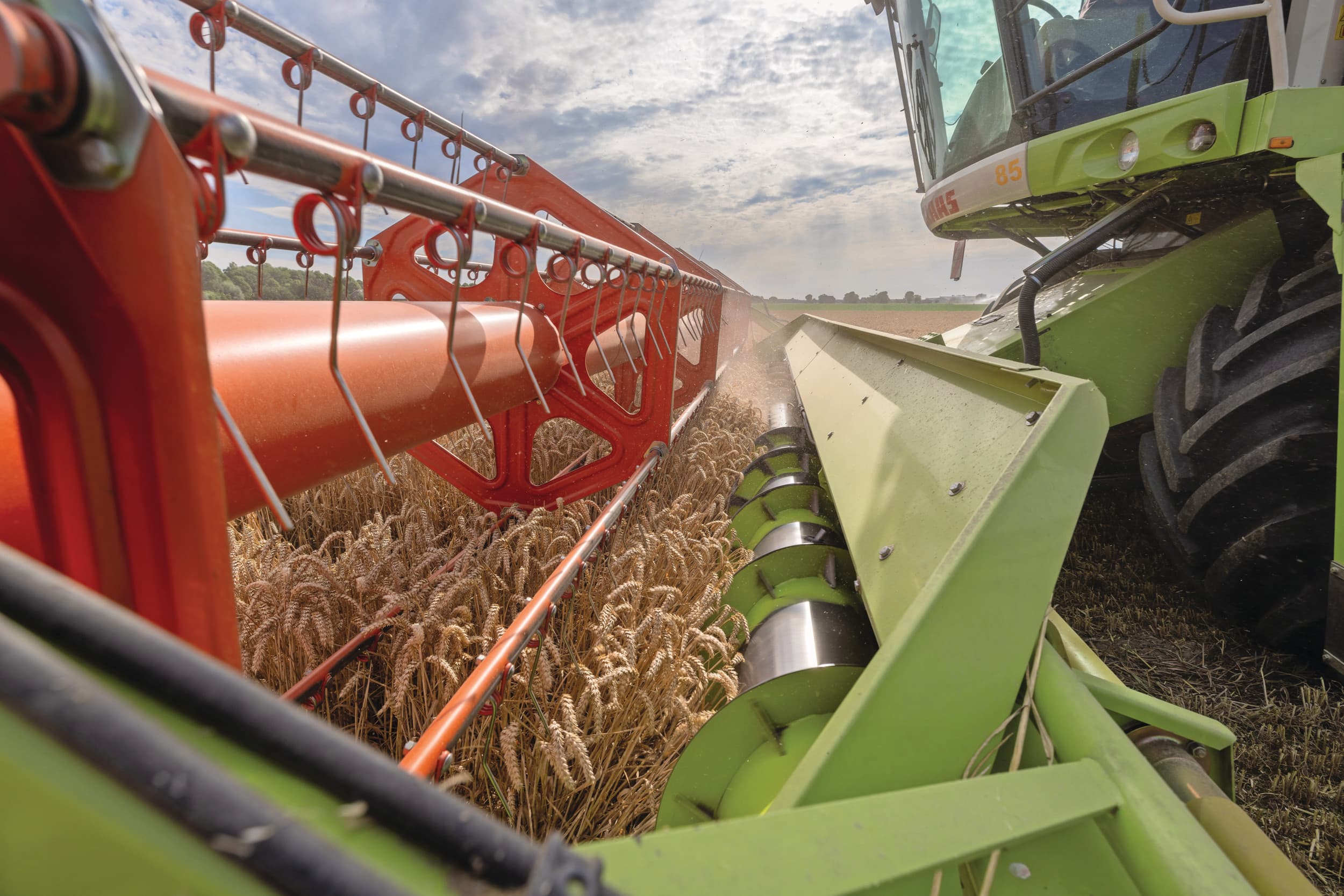 USDA heeft de prognose voor de EU-tarweoogst met 1 miljoen ton verhoogd naar 138,3 miljoen ton. Foto: Peter Roek