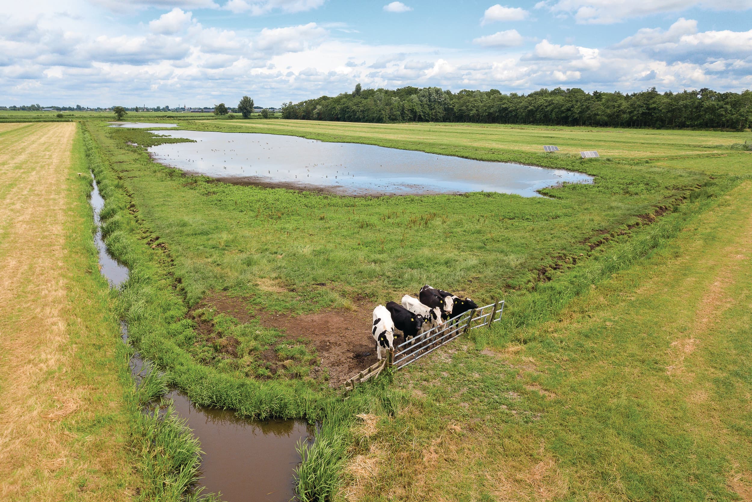 Agrarisch natuurbeheer in Oud-Alblas (Z.-H.). Foto: Peter Roek