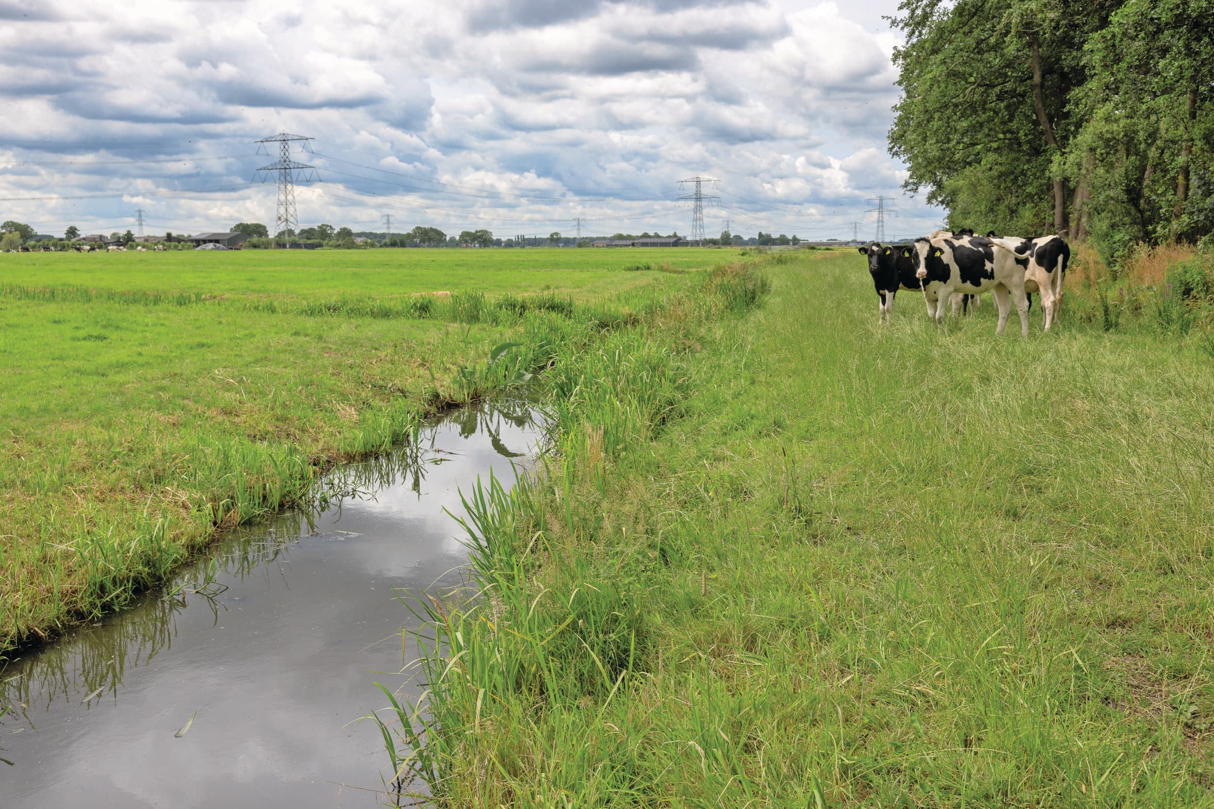 Nederland zit vast in een eindeloze stikstofdiscussie. Maar stikstof is slechts één van de vele factoren die natuurkwaliteit bepalen. Droogte, waterhuishouding, bodemcondities, beheer en recreatie spelen net zo’n grote rol. Foto: Peter Roek