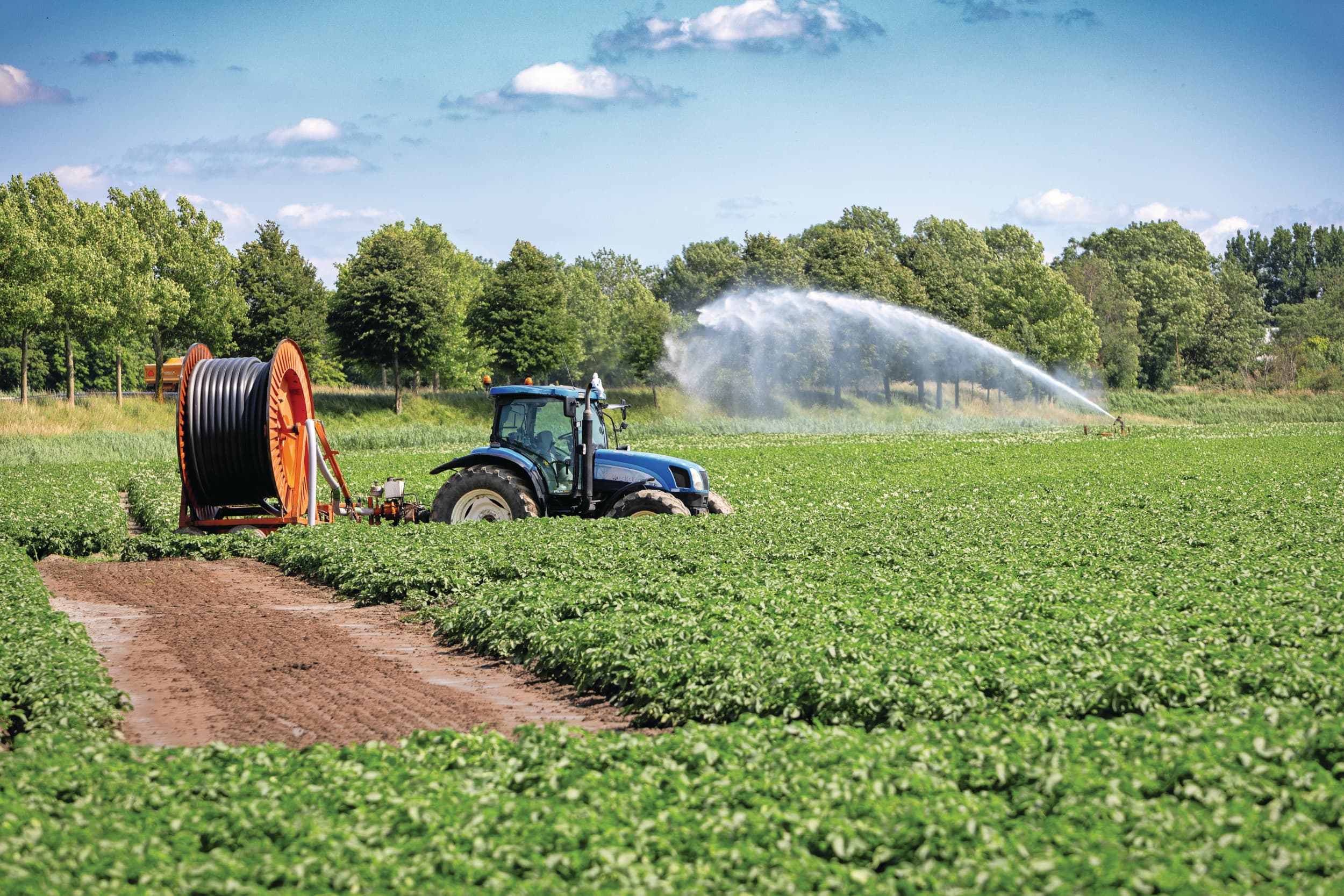 Beregenen van aardappelen in Zeeland. Foto: Peter Roek