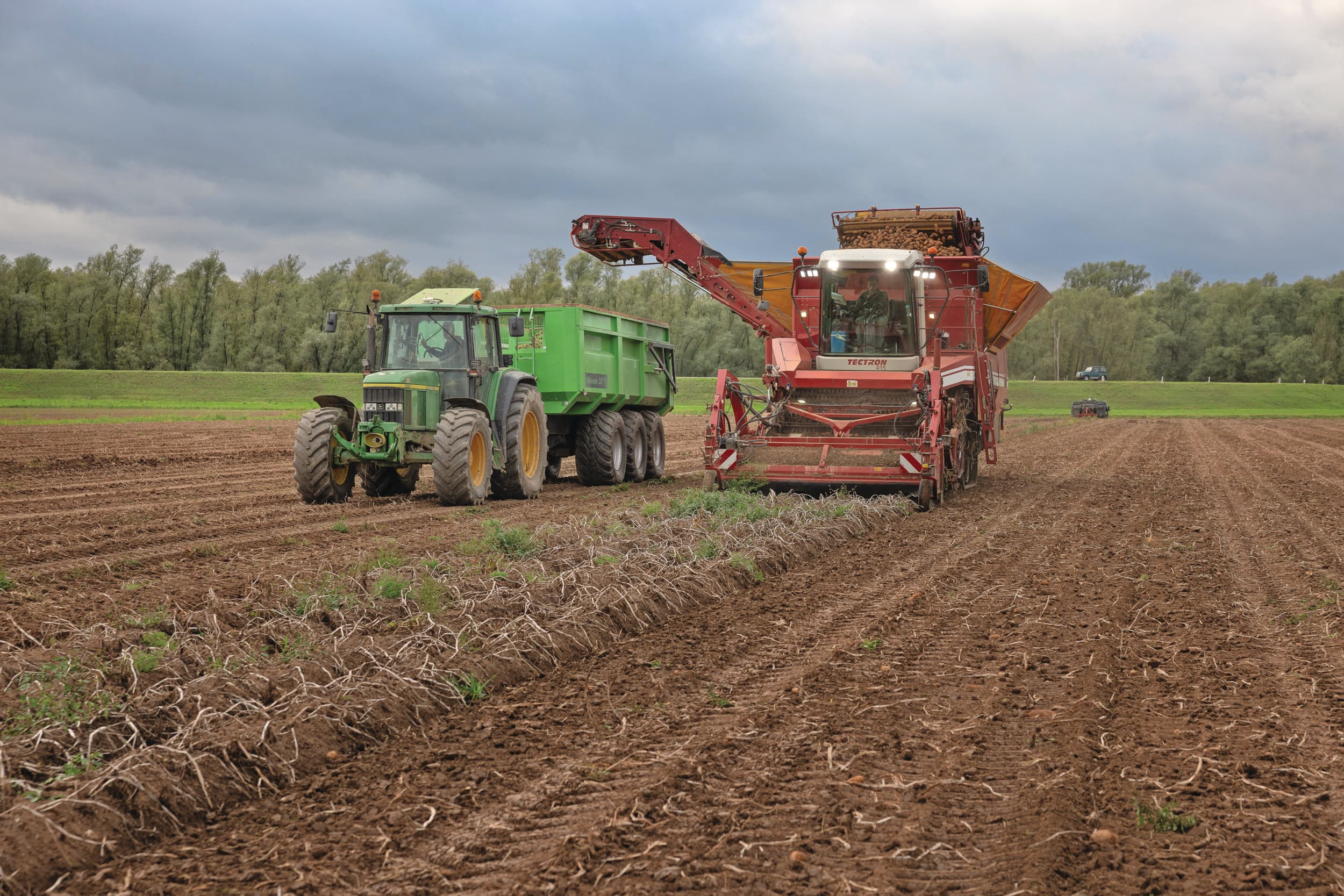 De opbrengst van consumptieaardappelen is veelal top. Normaal is dat reden tot vreugde. Maar de lage prijzen van vrije aardappelen drukken de stemming. Foto Peter Roek