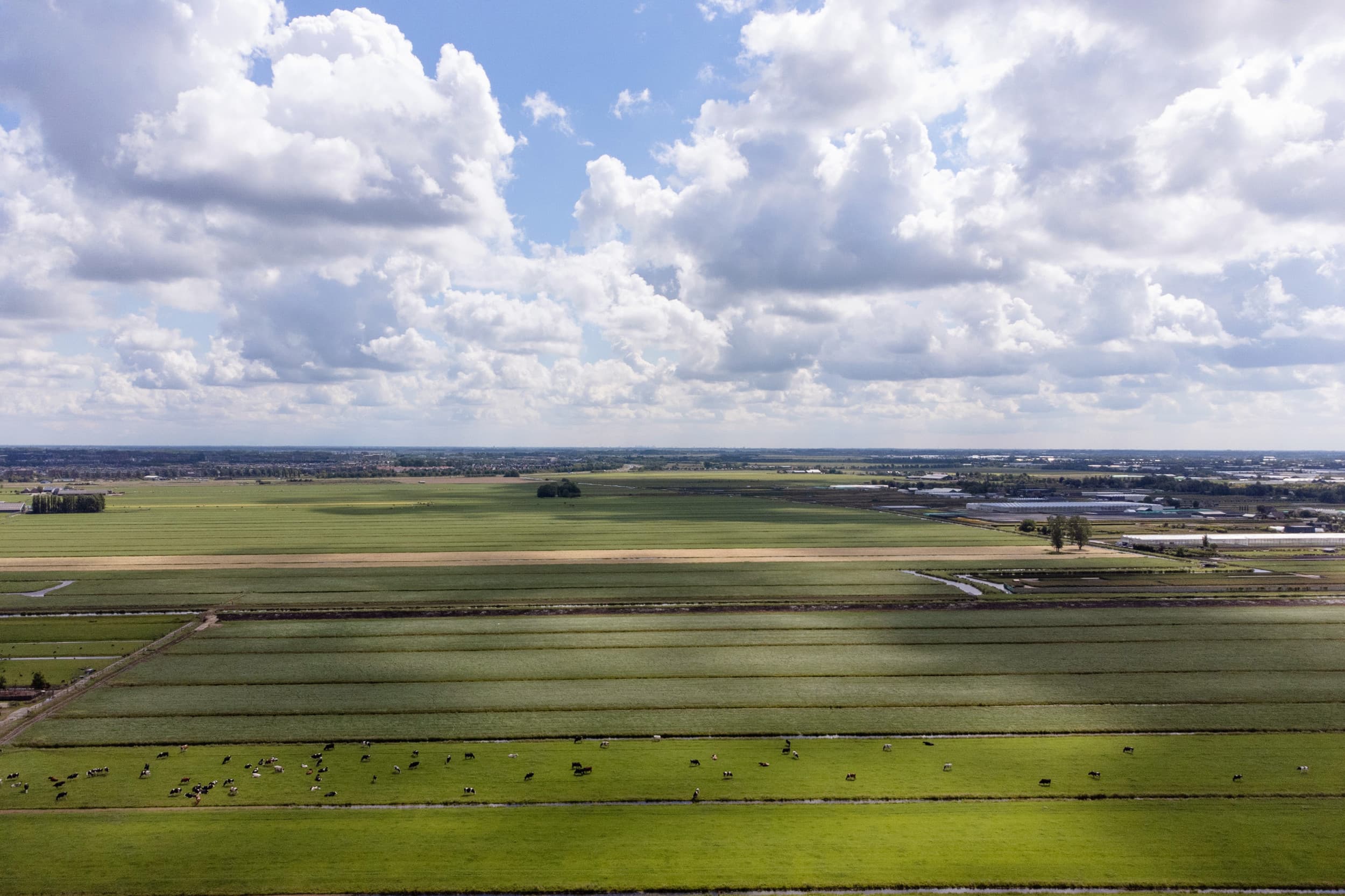 De ministeriële stikstofcommissie heeft in september een tweede miljardenpakket gepresenteerd om Nederland van het stikstofslot te halen. Daarin wordt vooral ingezet op doelsturing, innovatie en natuurherstel. Foto: Herbert Wiggerman