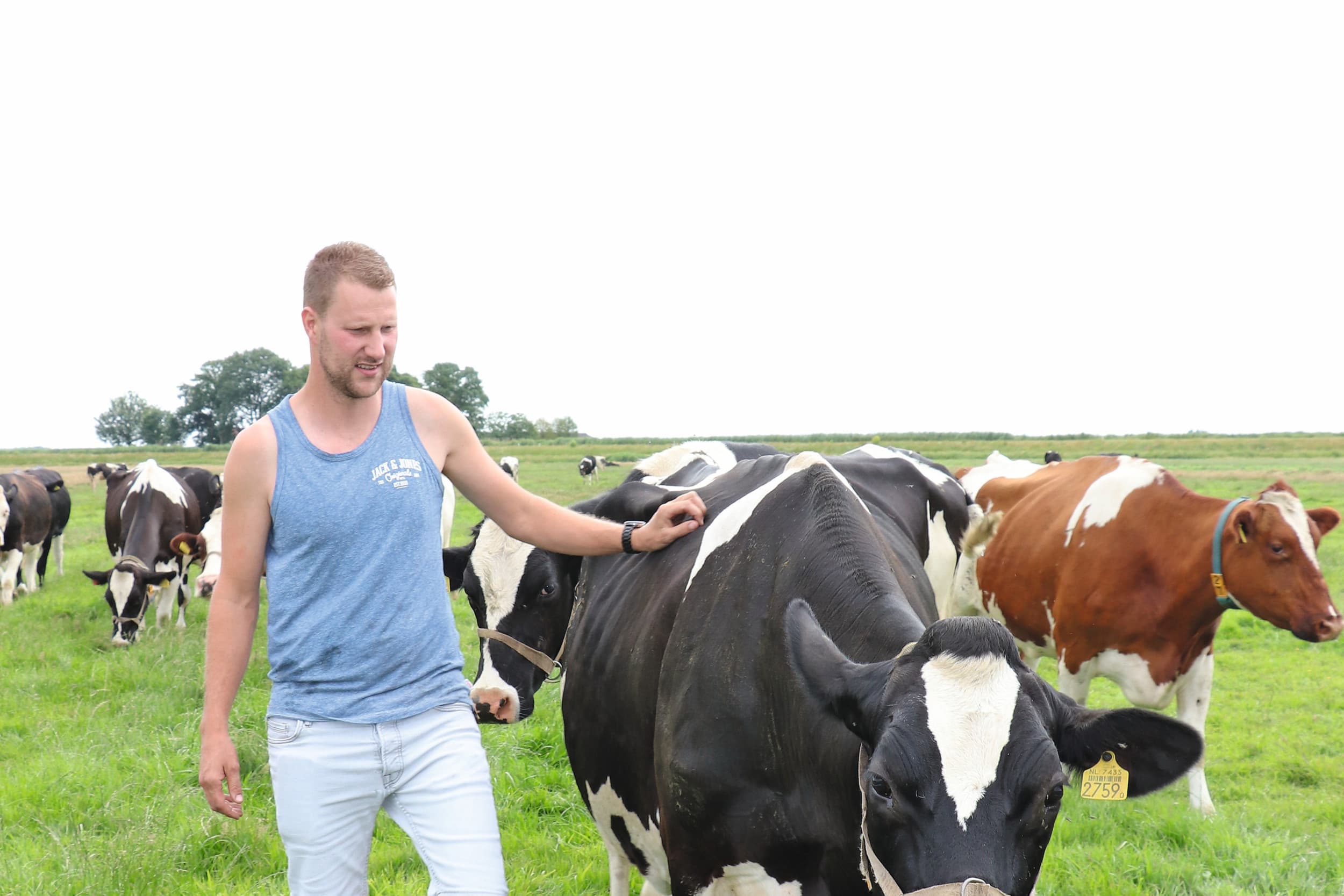 Melkveehouder Vincent Post is bedrijfsleider op het ouderlijk bedrijf. Hij melkt 60 stuks melkvee op 69 hectare grasland. Foto's: Dick van Doorn