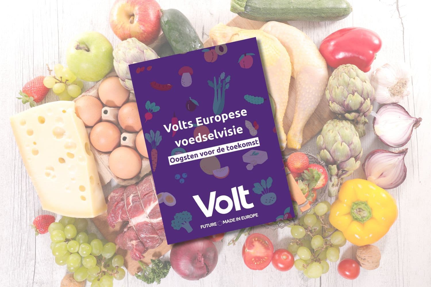 Cover van de voedselvisie van Volt, waarin de partij pleit voor fundamentele hervorming van de landbouw en €50 miljard aan innovatiebudget. Afbeelding: Canva en Volt, beeldbewerking