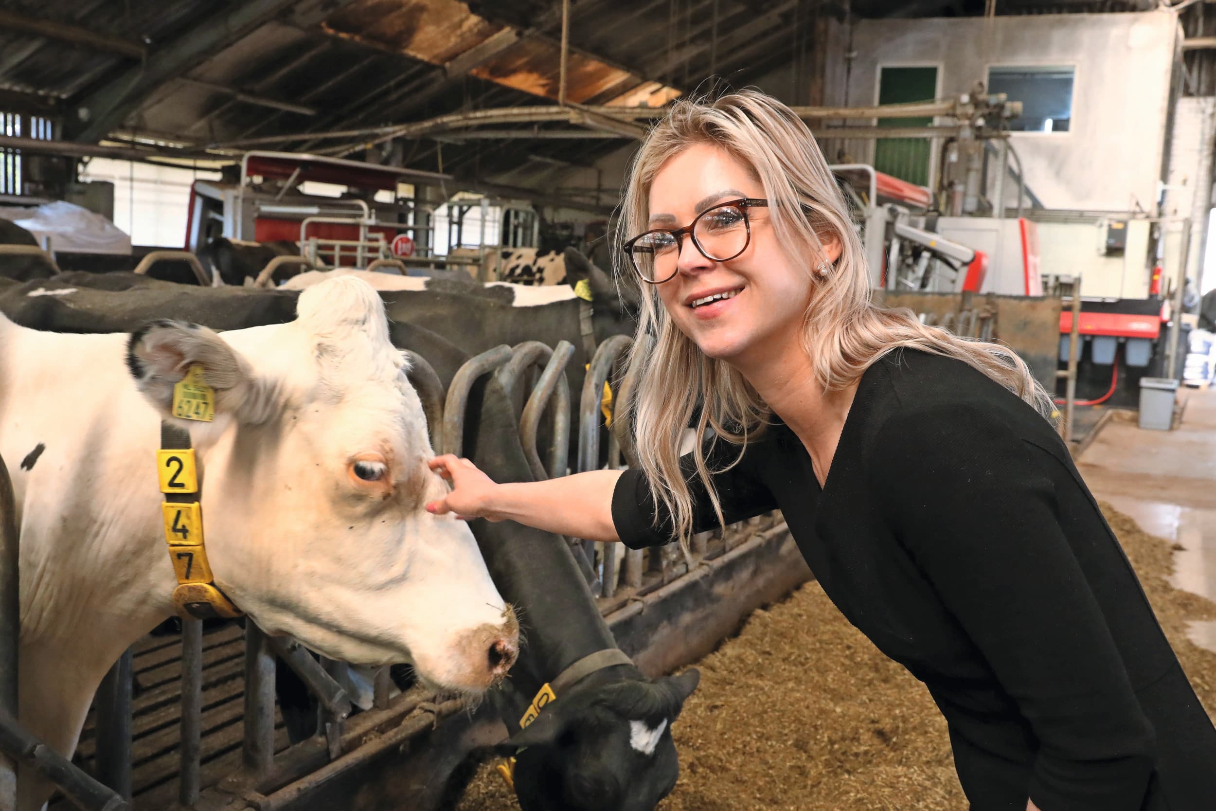 Femke Wiersma BBB verkiezingen