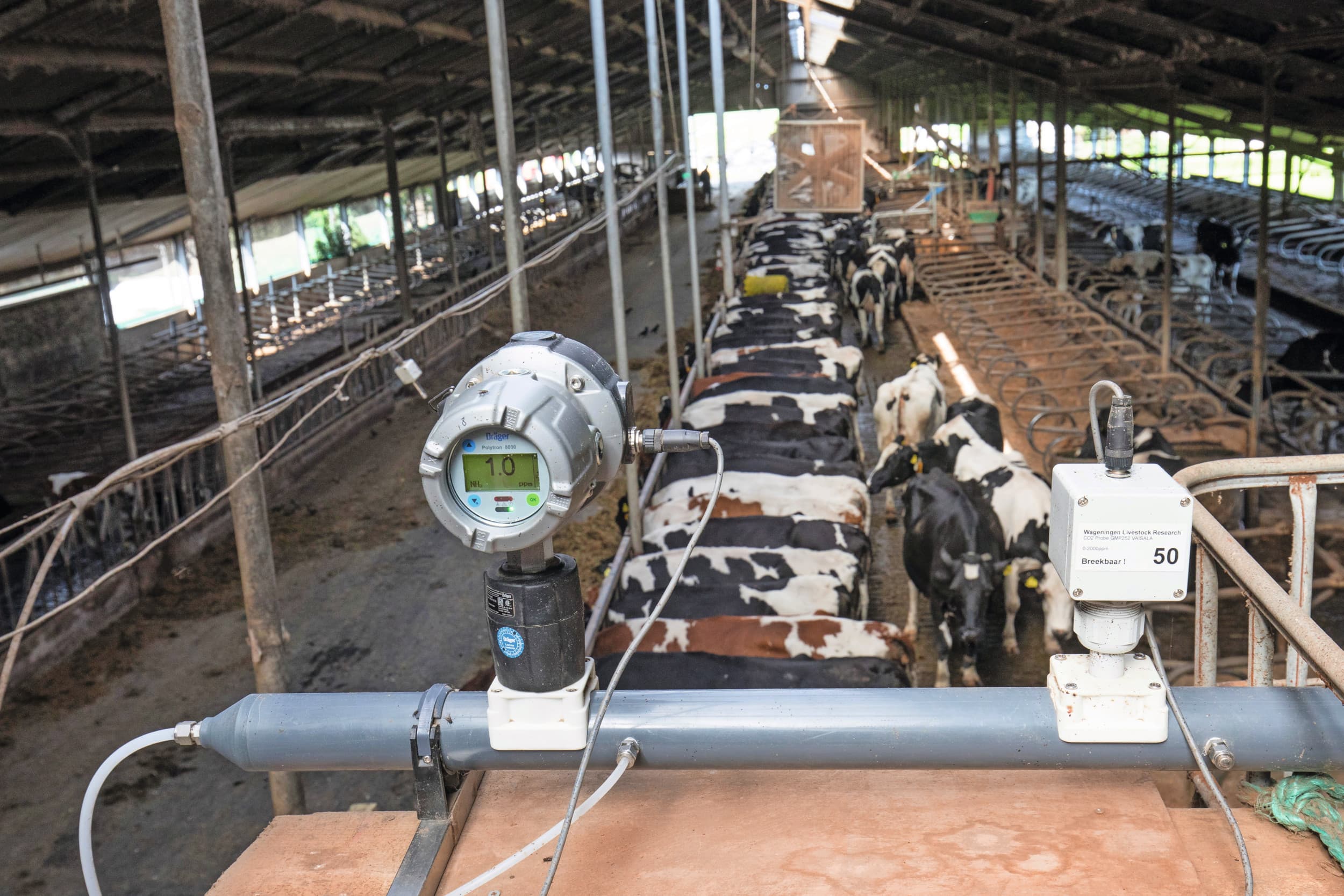 Nestlé blijft zich inzetten voor het terugdringen van broeikasgassenuitstoot, waaronder methaan. Foto: Herbert Wiggerman