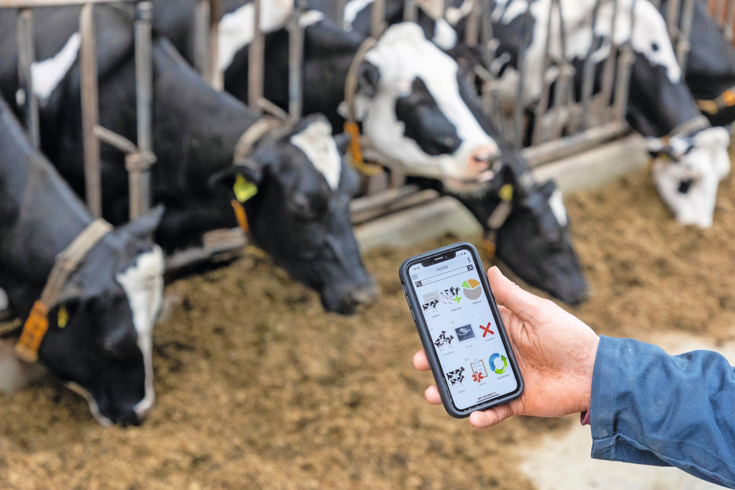 Data is nog vaak versnipperd en systemen zijn complex. Ontwikkelaars werken aan eenvoudigere dashboards met direct bruikbare inzichten. Foto: Herbert Wiggerman