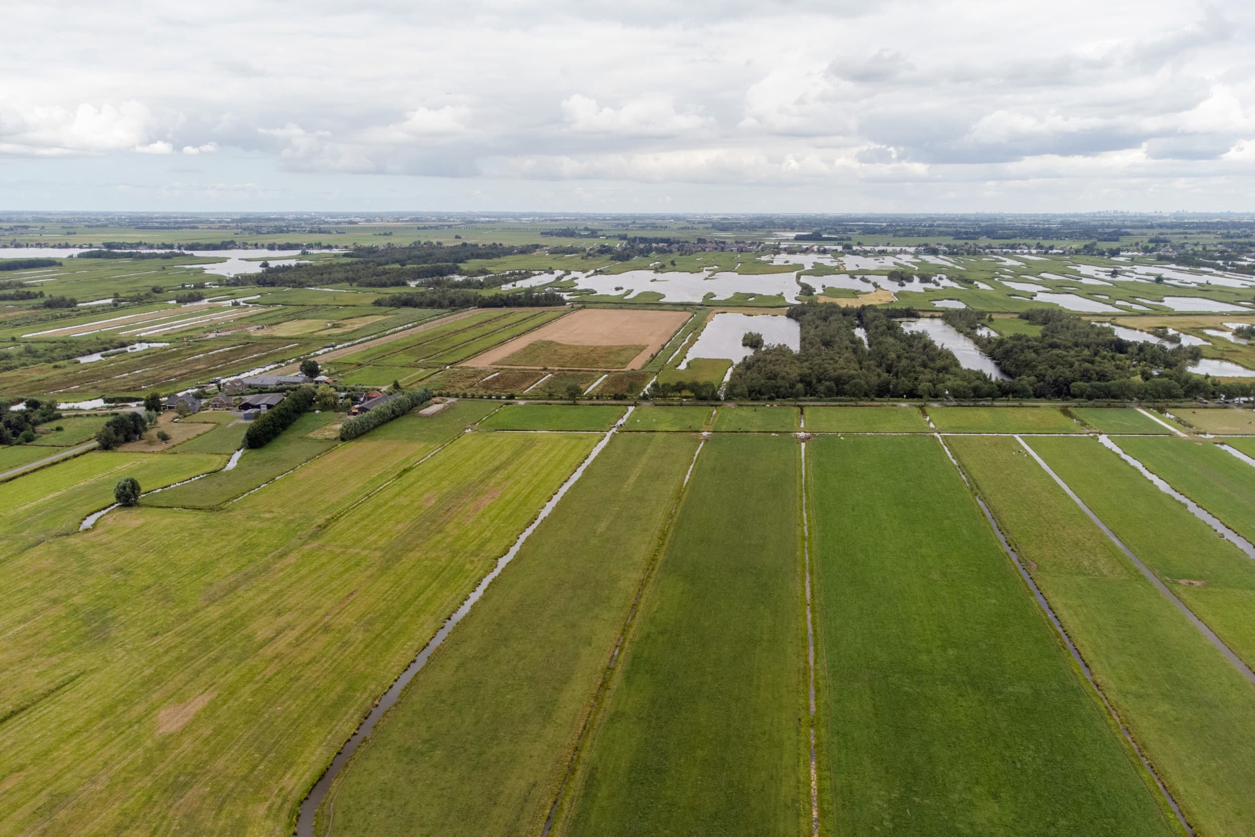 Minister Femke Wiersma wil de stikstofondergrens verhogen naar 1 mol per hectare per jaar om PAS-melders te helpen. Foto: Herbert Wiggerman