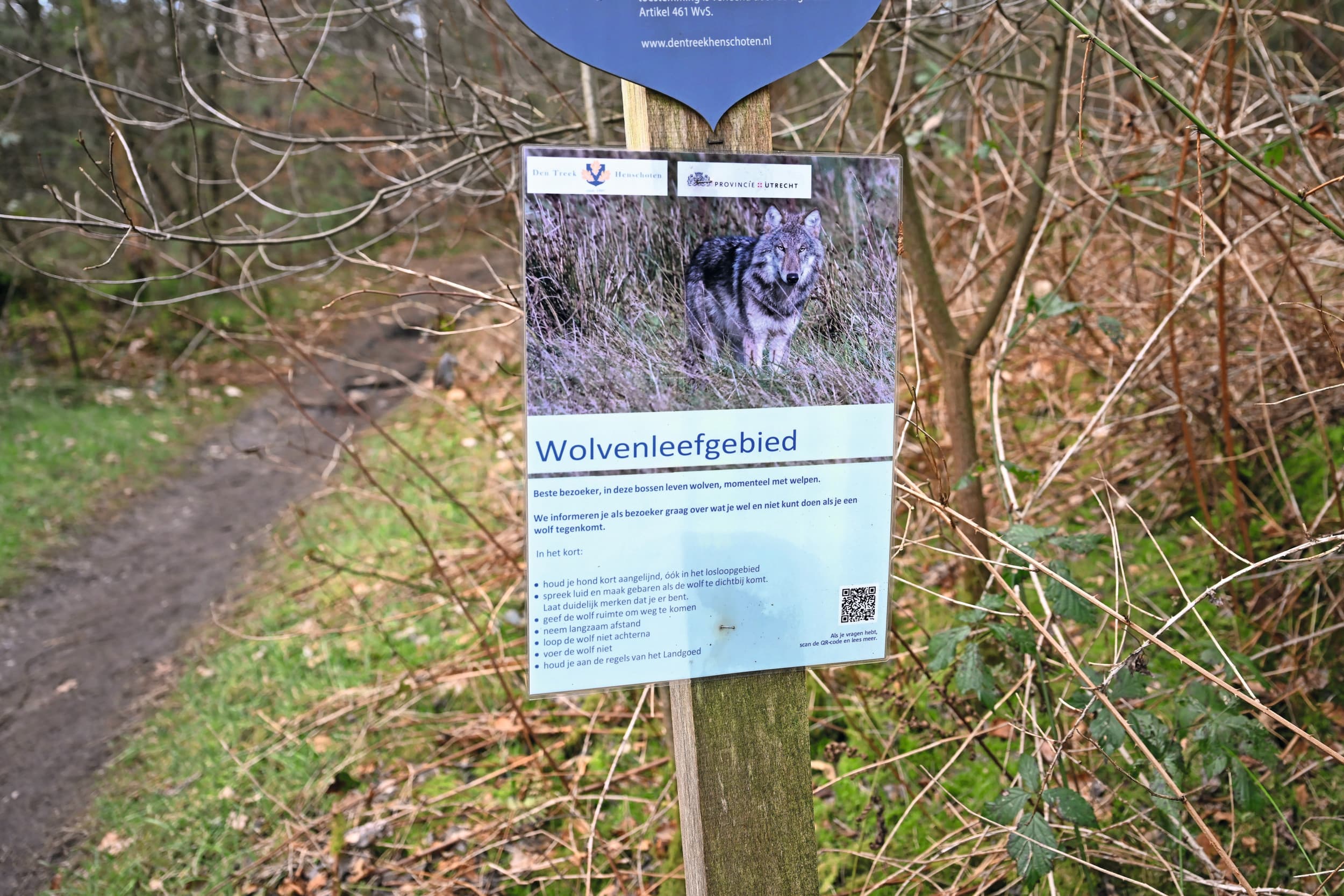 bescherming wolven