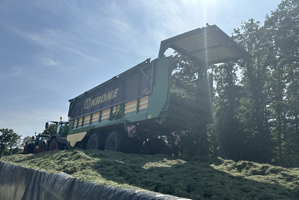 Eerste zomerkuilen 2025 bevatten veel suiker en bijna 50% droge stof. Ook de VEM en DVE liggen boven het langjarig gemiddelde, meldt Eurofins Agro. Foto: Martijn ter Horst