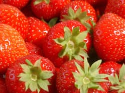Import aardbeien en bonen uit Egypte volledig stilgelegd