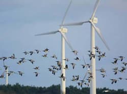 Beroep tegen windmolenpark Etten-Leur gegrond