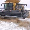 ‘Zeewier’ combinen in de sneeuw