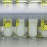 Knipperlicht tankmelktest (1)