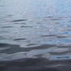 Overstromingen? We moeten irrigeren!