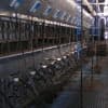 Van aanbindstal naar rapid exit