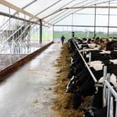Nieuwe boogstal met 148 plaatsen