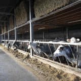 Topvee zonder keizersneden