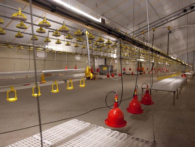 Een bijkomend voordeel van de standaardsilo's van Polem is dat de pluimveehouder ook een tweede voersoort kan mengen met de menger en weger die naast de silo's in een silohut staat.
