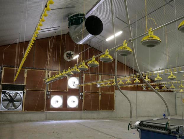 De kachels kunnen de warme lucht die de warmtewisselaar boven in de stal blaast gebruiken om de lucht op kuikenhoogte verder te verwarmen. De pluimveehouder heeft ervoor gekozen om de kachels zo nu en dan schoon te maken met een  luchtpistool . De kachels zijn elektrisch oplierbaar, zodat ze bij het schoonmaken niet in de weg hangen.