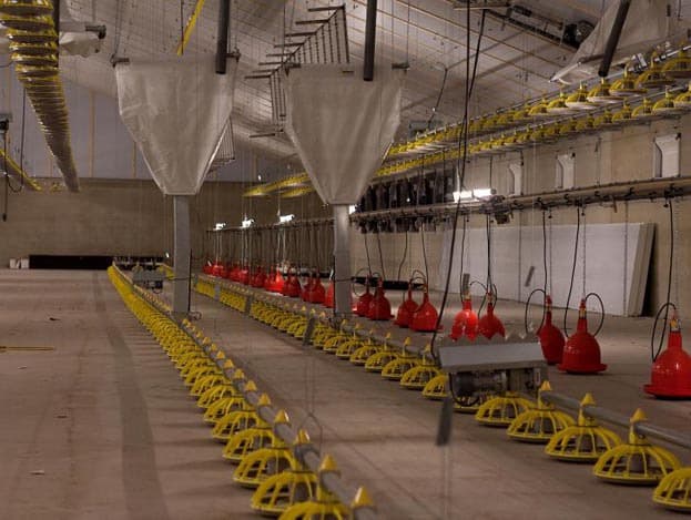 De bouw van de nieuwe opfokstal voor 18.000 vleeskuikenmoederdieren gaat binnen verder met het monteren van de stalinrichting. De opfokstal van 24 meter breedte is volgebouwd met in totaal 18 voer- en waterlijnen. <br> <br><i>Foto s: Hans Prinsen, Ronald Hissink, tekst: Judith Waninge</i>