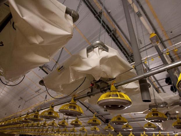 Nadat het voer buiten gemengd is, gaat het naar plastic voorraadbunkers die op de voerlijnen gemonteerd zijn. In deze bunkers in de stal kan per voerlijn een dagvoorraad voer bewaard worden.