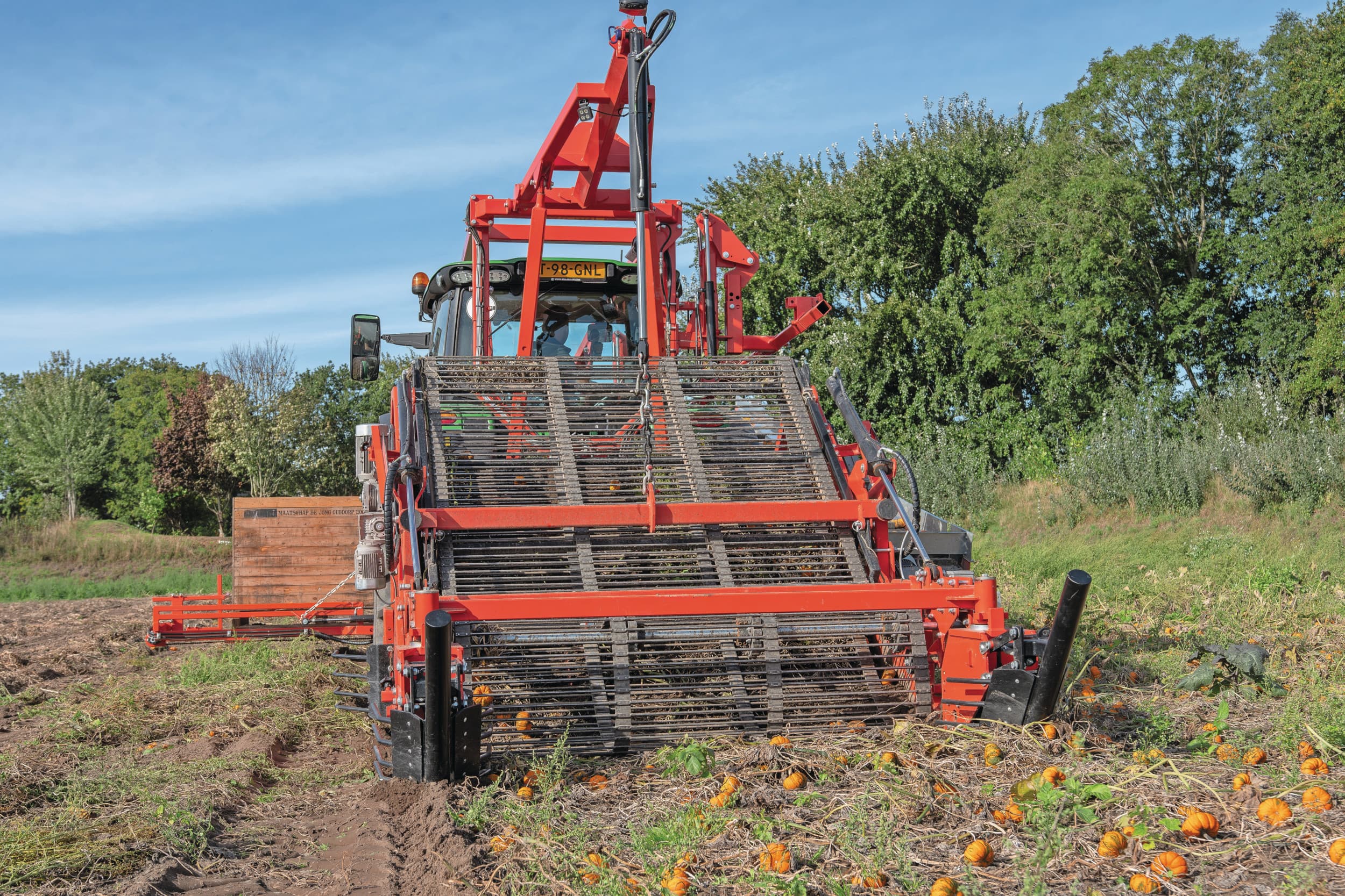 De oogst gebeurt sinds dit jaar met een oogstmachine. De trekker rijdt achteruit op het land, waarbij een rooibek van de machine door de grond gaat en de kalebassen met loof en al als een laken opraapt van de grond. Foto's: Jacco van Erkelens