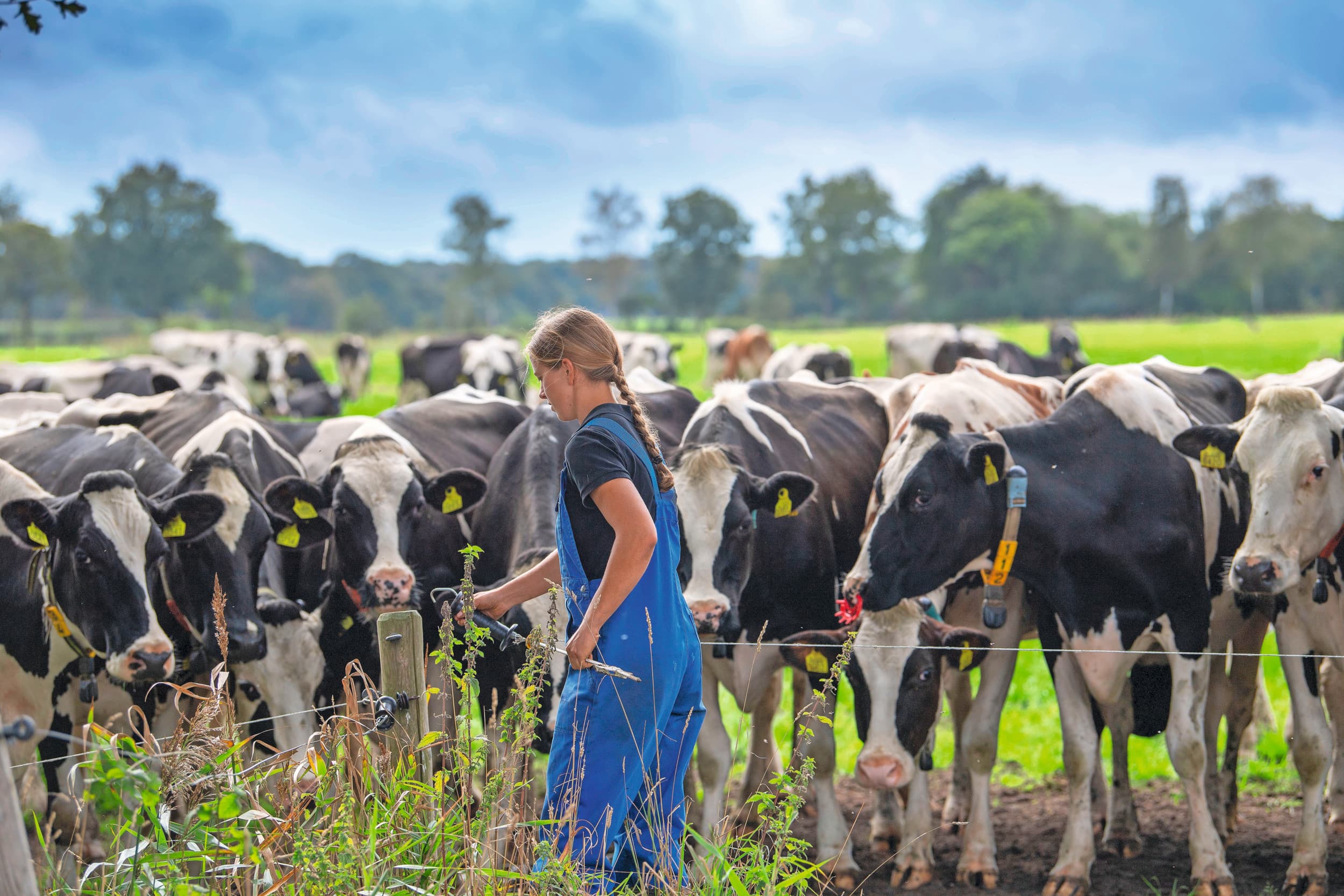 Het aantal jonge boeren in Nederland neemt sinds 2020 weer toe. Vooral de laatste drie jaar gaat het hard. Er zijn inmiddels bijna 5.000 bedrijfshoofden en -leiders jonger dan 40 jaar en dat is bijna evenveel als tien jaar geleden. Foto: Mark Pasveer