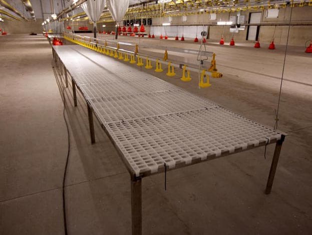 In de stal hangen de hoogfrequente tl-lampen op handzame hoogte. Bij het schoonmaken hangen de tl-lampen horizontaal, zodat ze stevig vast hangen. Met een kliksysteem zijn de lampen eenvoudig los te maken en verticaal te hangen.