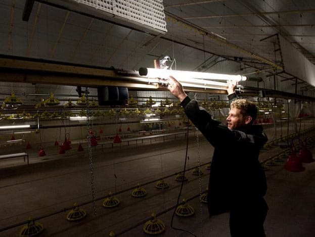 De keus voor plastic voerbunkers is bewust gemaakt, zodat bij het schoonmaken deze helemaal ingeklapt kunnen worden.