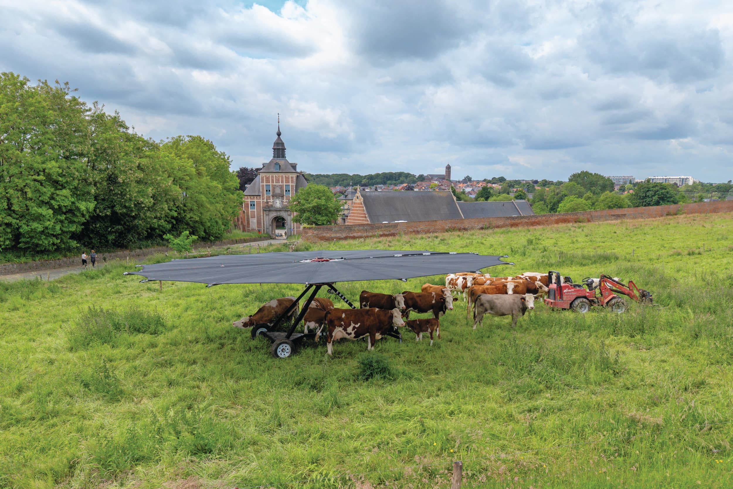 De koppel Fleckvieh-koeien met een paar kalveren onder en bij de grote parasol. Op de achtergrond de abdij waar de koeien in de winter in een potstal staan en de zuivel wordt verwerkt. Foto's: Peter Roek