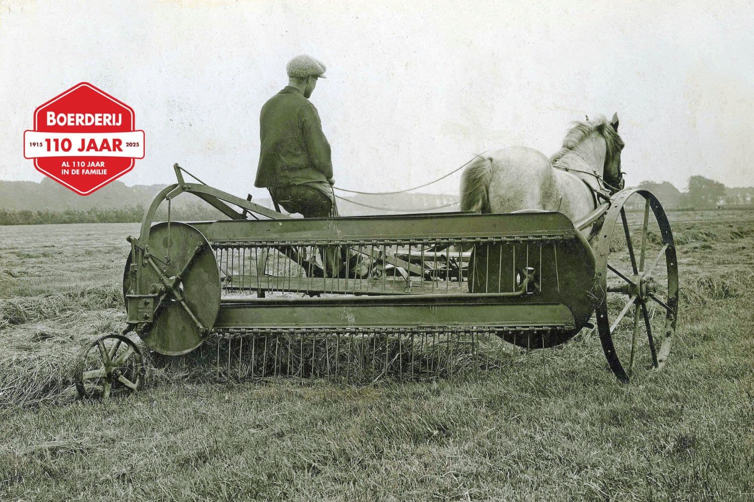 Tot de Tweede Wereldoorlog is het werken met paarden dagelijkse praktijk, zoals hier het hooiharken in 1937. Na de oorlog maakt mechanisatie een opmars: vanaf de jaren 50 verruilen steeds meer Nederlandse boeren hun paarden voor trekkers. Foto’s: Misset