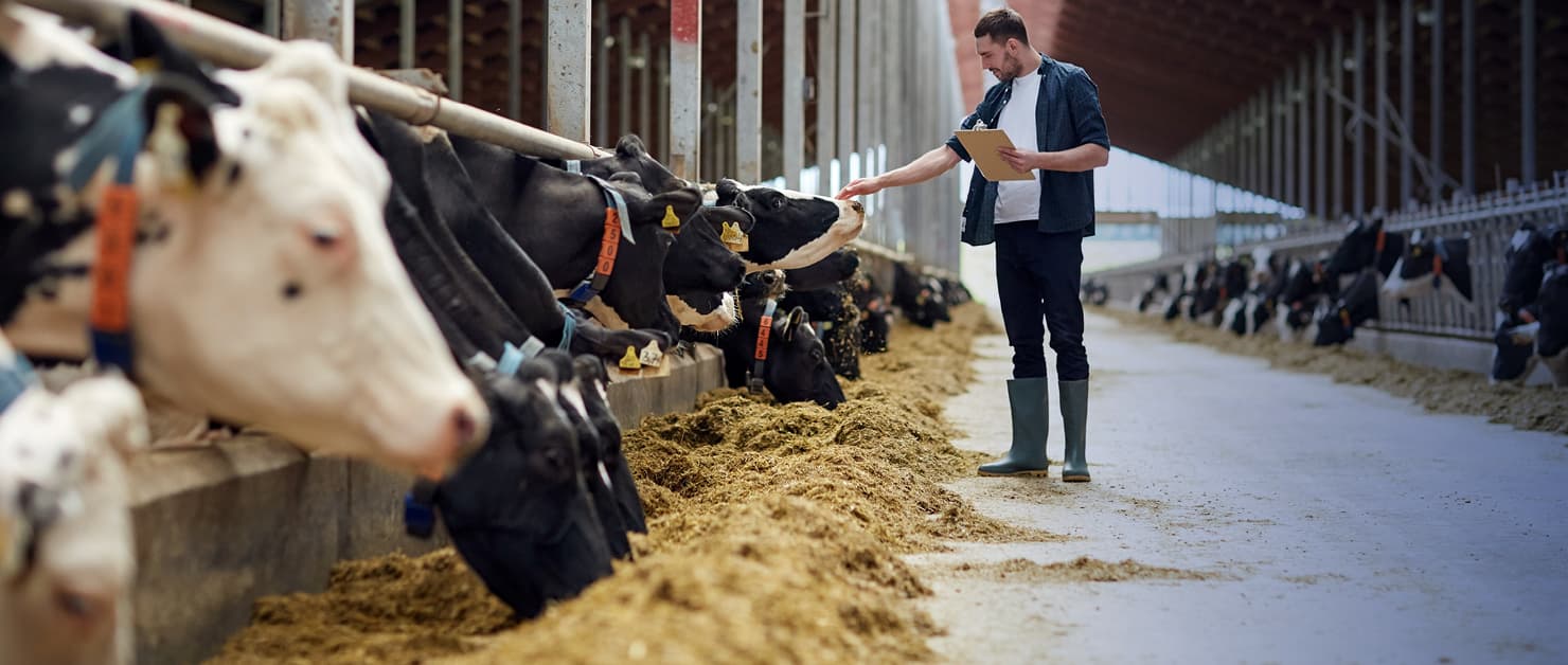 Foto: Boehringer Ingelheim