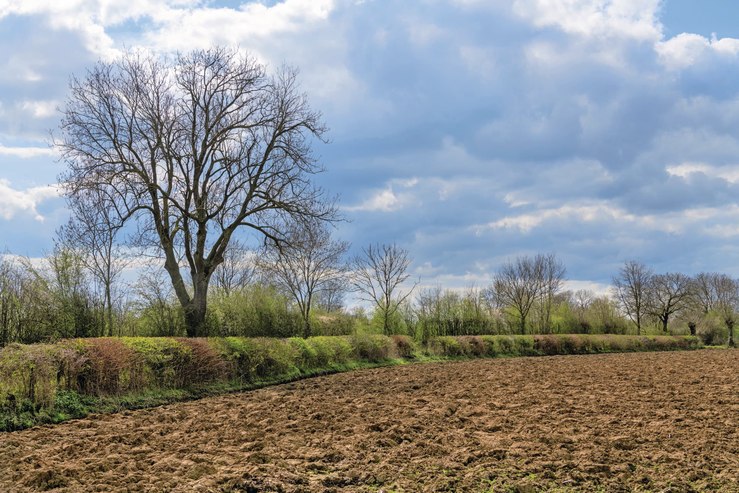 budget natuur agrarisch natuurbeheer