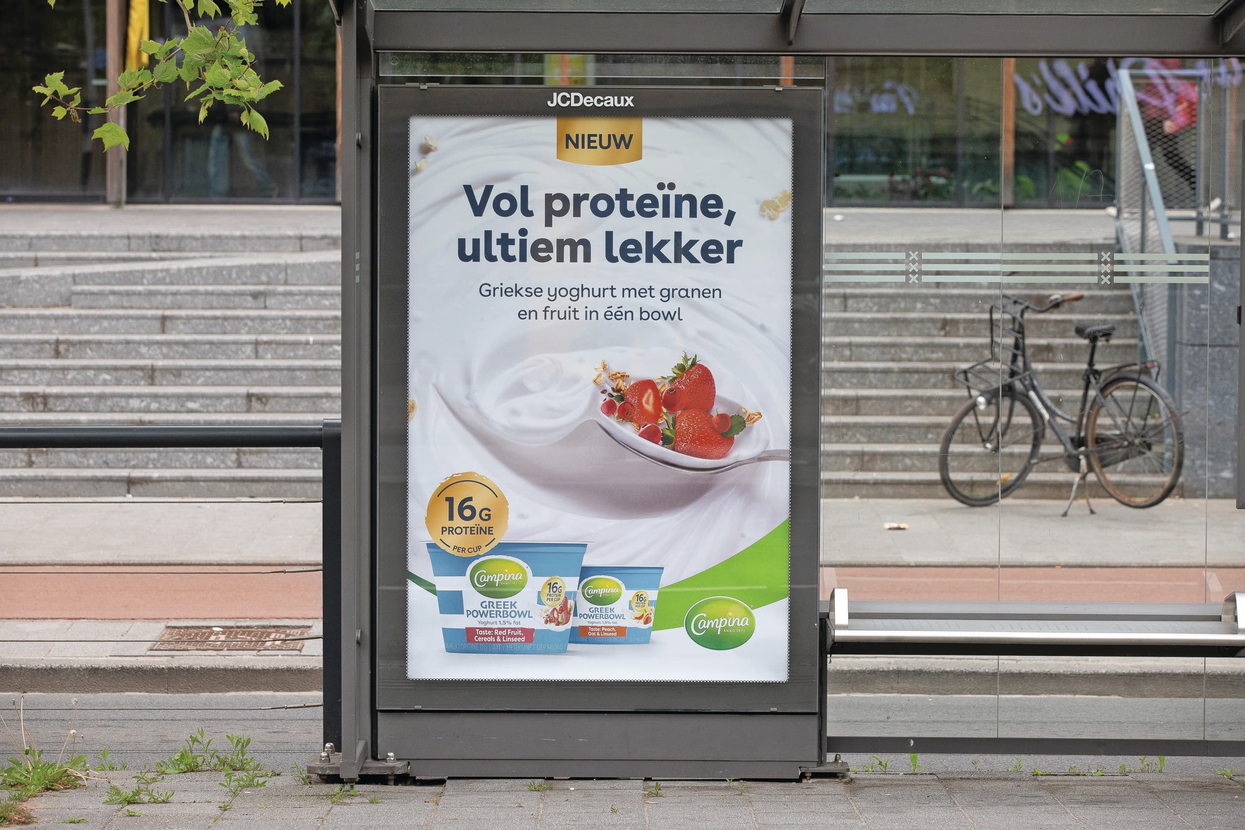 Zuiveleiwit groei proteïnerally